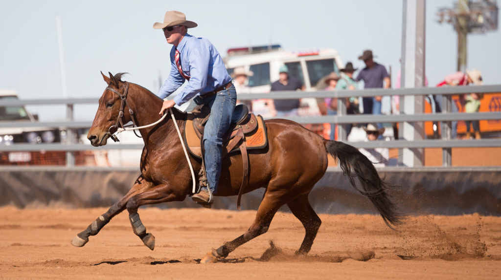 GIDDY UP: Rockhampton horse rider Joshua Smith speeds up his horse Mr Freckles Chic in the 2015 Cloncurry Stockman’s Challenge. GIDDY UP: Rockhampton horse rider Joshua Smith speeds up his horse Mr Freckles Chic in the 2015 Cloncurry Stockman’s Challenge.